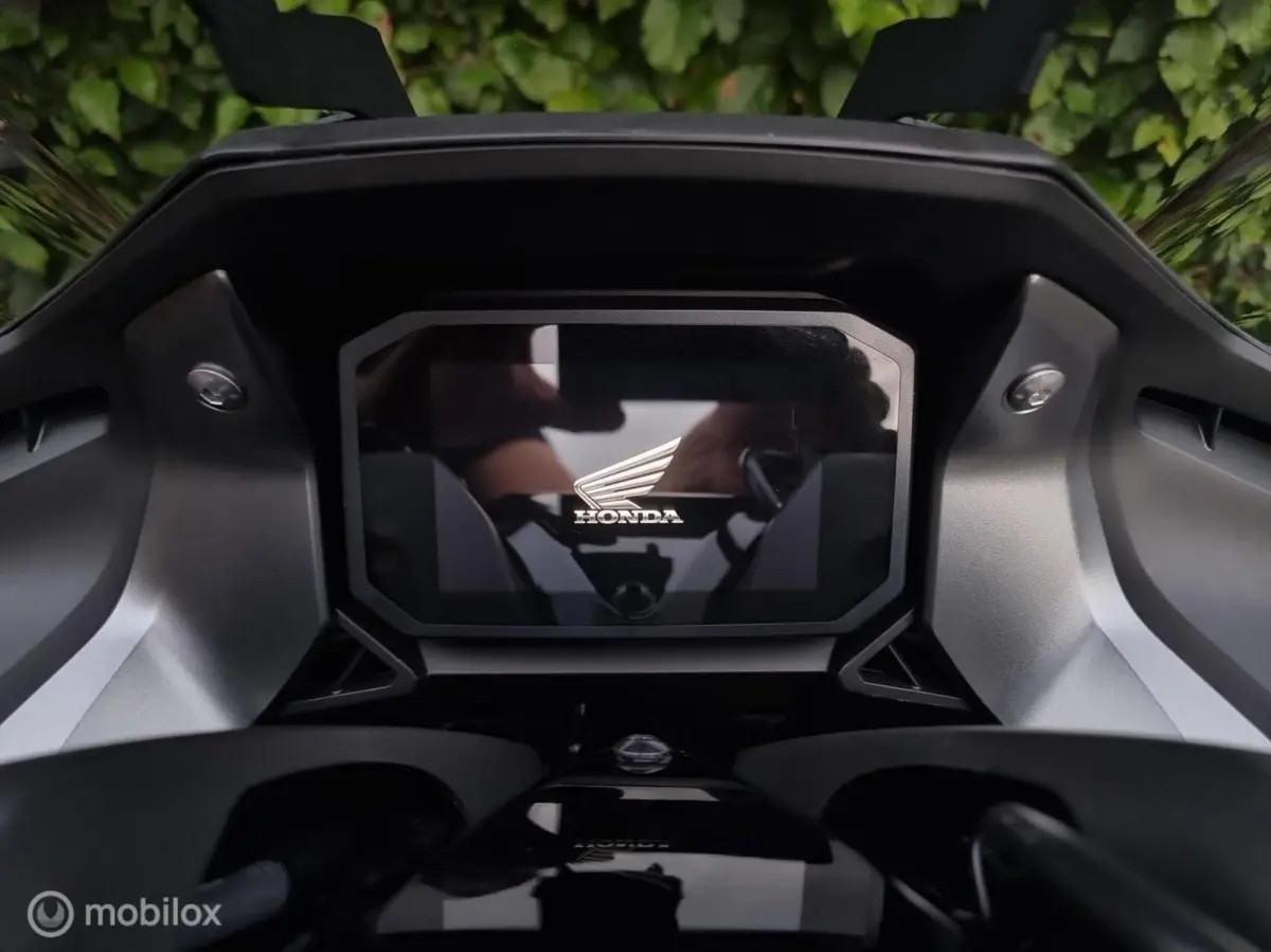 Sport (2024) Automaat BTW