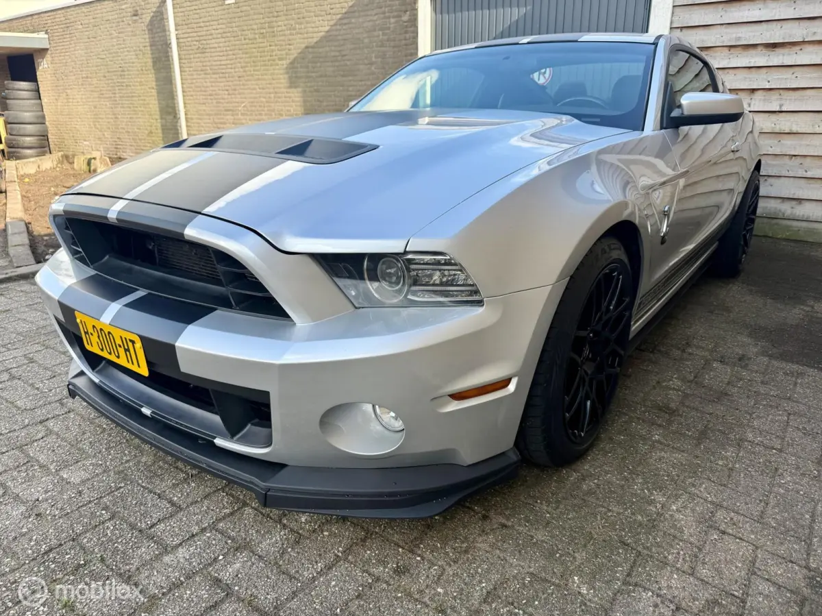 5.0 V8 418pk Shelby GT500 Clone