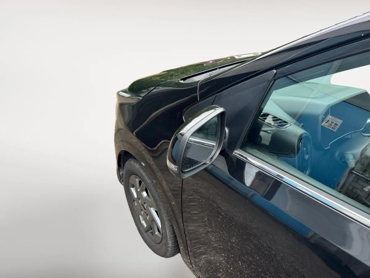 1.0 DPI DynamicPlusLine | Navigatie | LM-Velgen | Parkeercamera | Cruise control