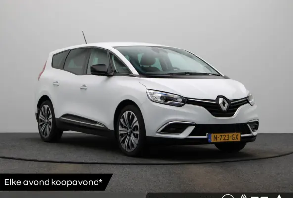 1.3 TCe Business Zen | volledig dealer onderhouden | 1ste eigenaar | Achteruitrijcamera | Parkeersensoren voor en achter | Navigatie | Dodehoekwaarschuwing |