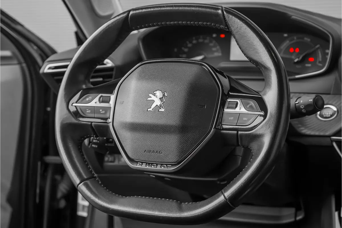 EV Active 50 kWh Climate Stoelverw Camera