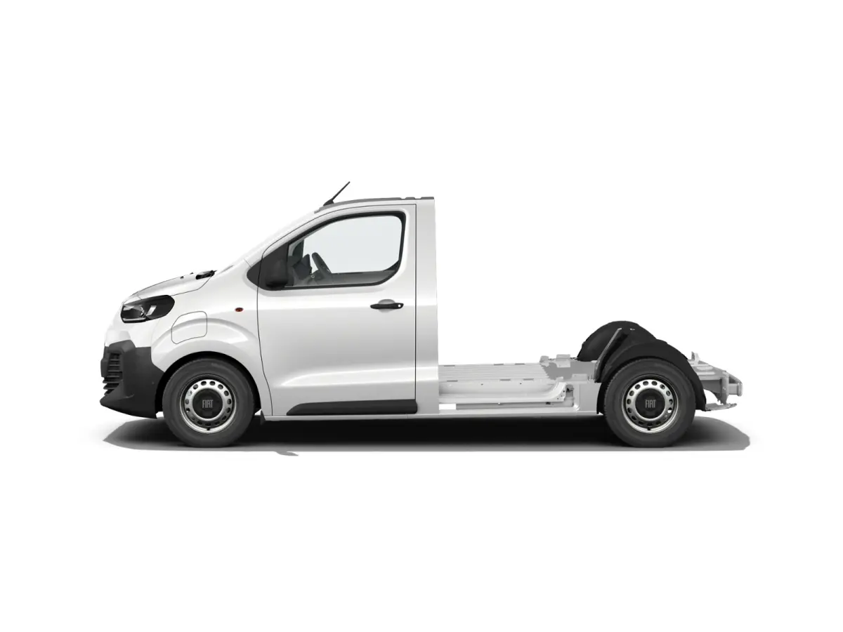 Professional Standaard | ABS met noodremassistentie / ESP en Hill Start Assist | Automatisch inschakelende verlichting en ruitenwissers | Cruise control met snelheidsbegrenzer (bediening ach