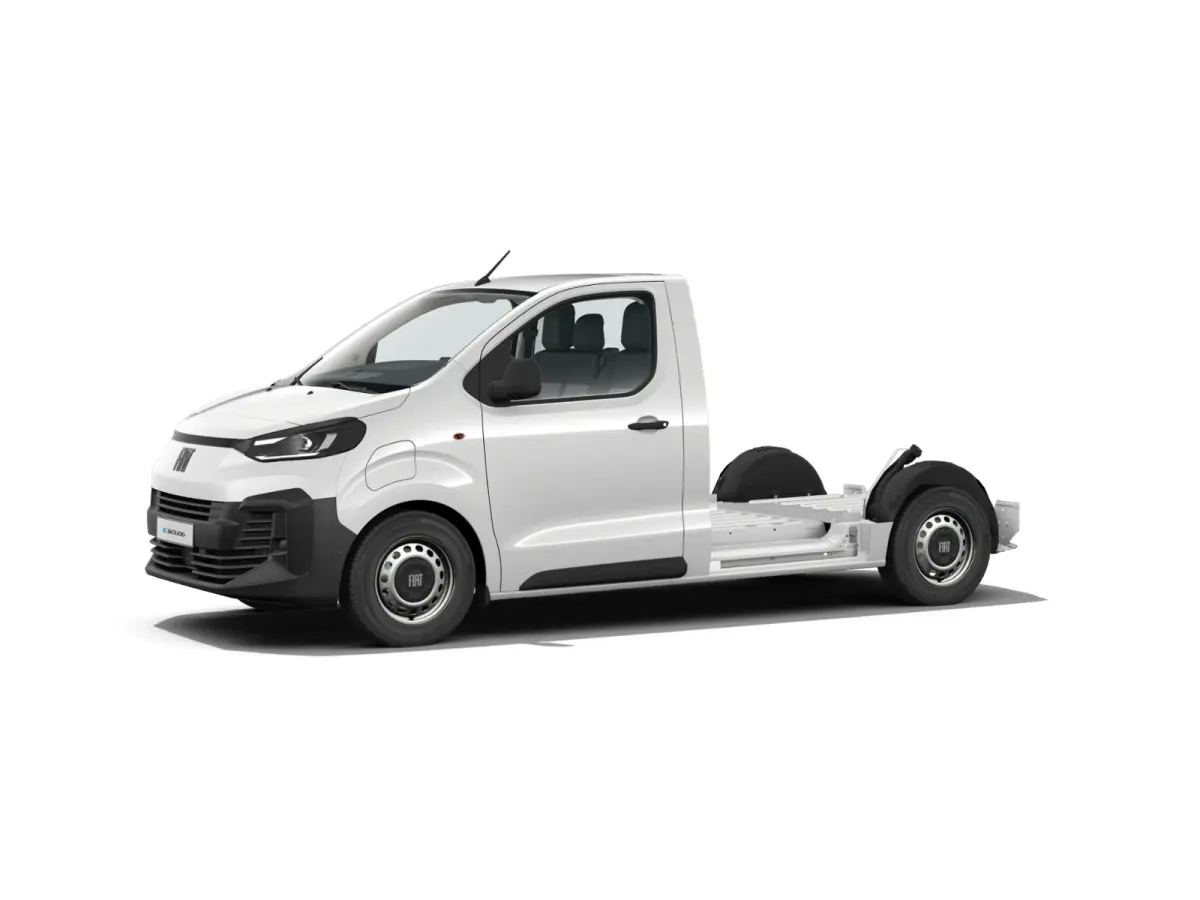 Professional Standaard | ABS met noodremassistentie / ESP en Hill Start Assist | Automatisch inschakelende verlichting en ruitenwissers | Cruise control met snelheidsbegrenzer (bediening ach