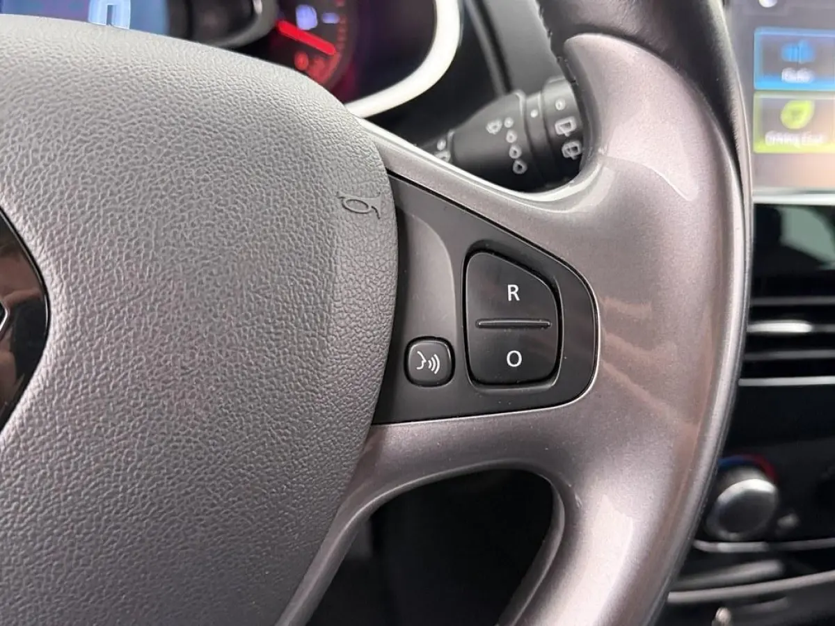 0.9 TCe Limited Trekhaak/Camera/Nav/Airco/Cruise