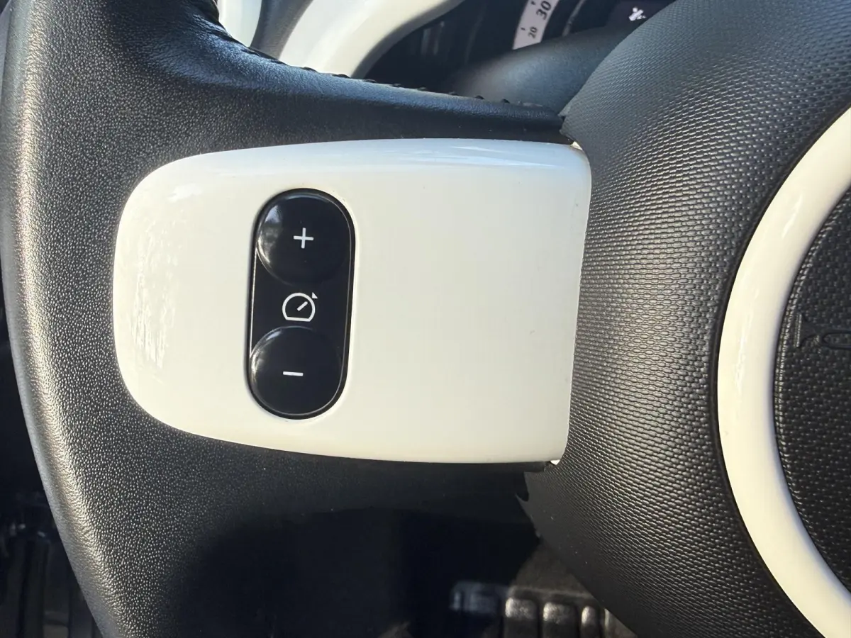 0.9 TCe Intens AUTOMAAT | Climate Control | Cruise Control | Parkeersensoren | Licht metalen velgen
