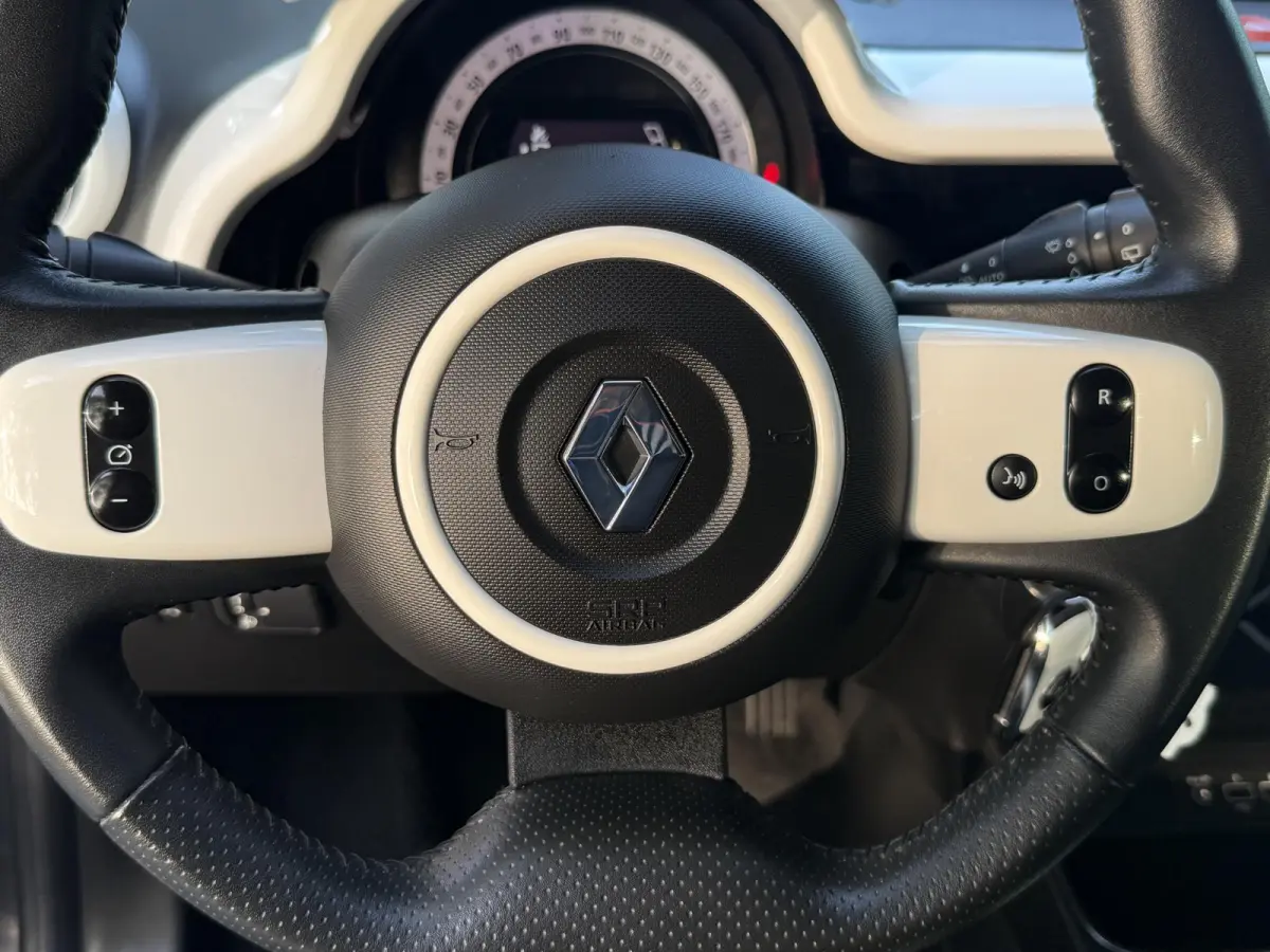 0.9 TCe Intens AUTOMAAT | Climate Control | Cruise Control | Parkeersensoren | Licht metalen velgen
