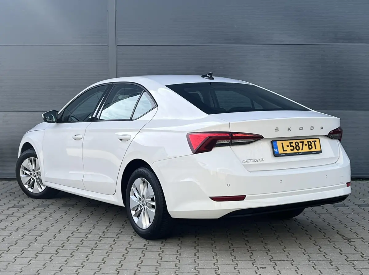 1.0 TSI 110pk Ambition | Navigatie | Smart Link | Climate Control