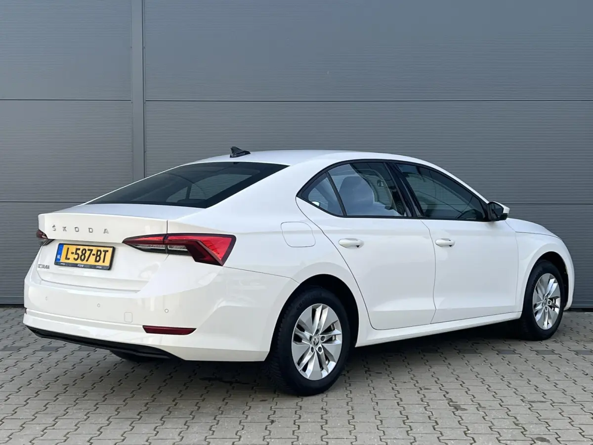 1.0 TSI 110pk Ambition | Navigatie | Smart Link | Climate Control