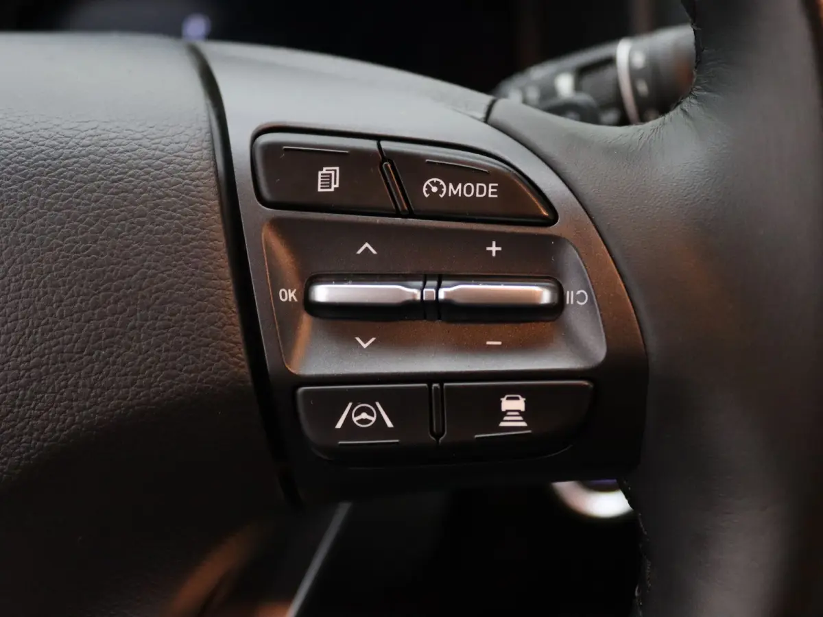 EV Fashion 64 kWh Apple Carplay/Android Auto | Climate