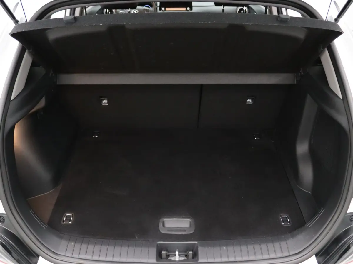 EV Fashion 64 kWh Apple Carplay/Android Auto | Climate