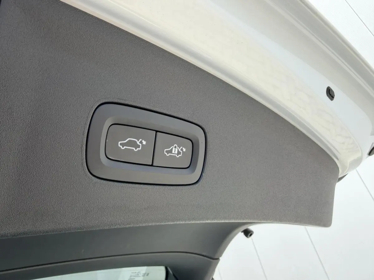 Long Range Dual Motor Launch Edition Trekhaak|Panoramadak|ACC|Applecarplay