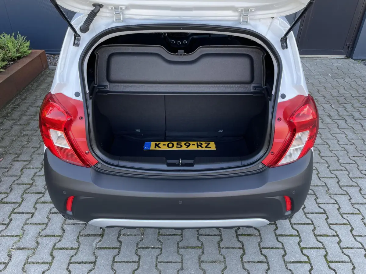 1.0 Online Edition Carplay Cruise PDC Stuur- en stoelverwarming