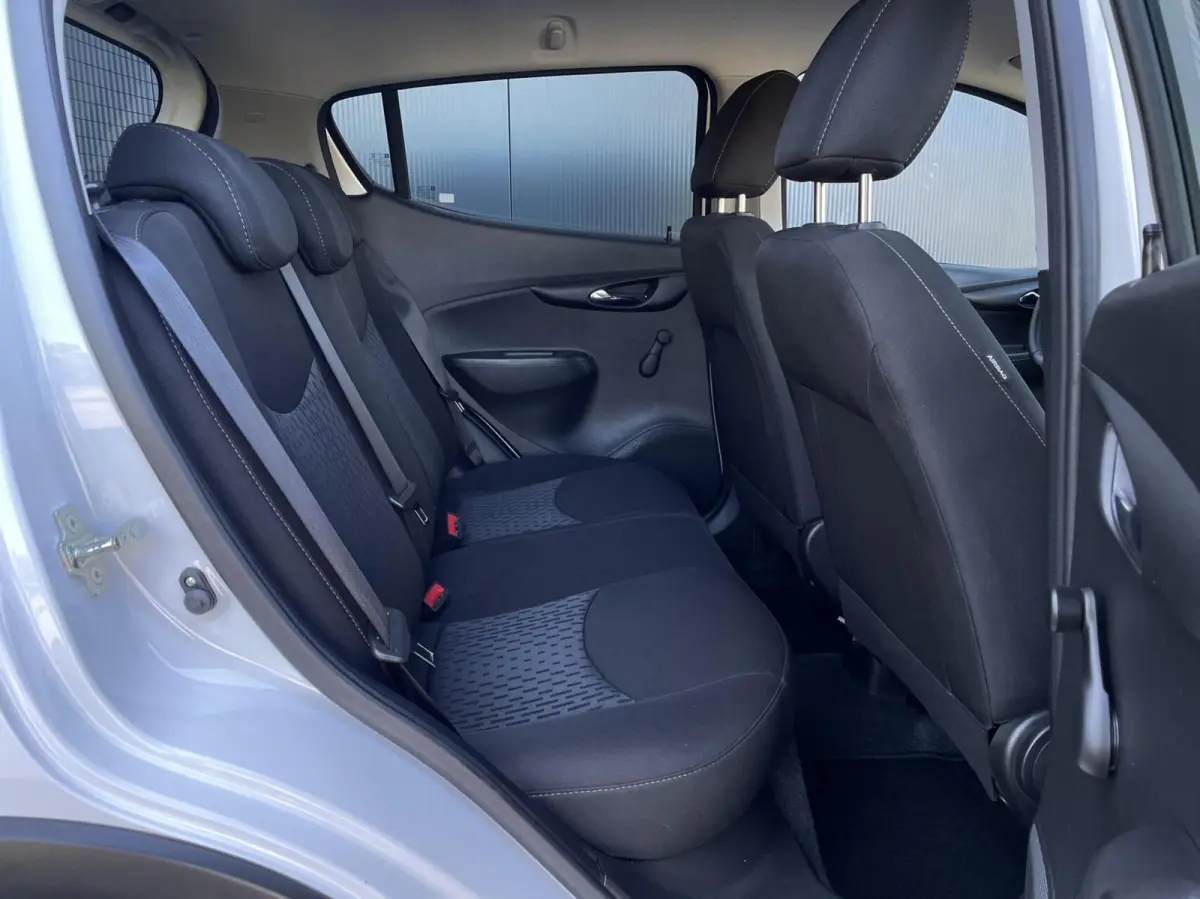 1.0 Online Edition Carplay Cruise PDC Stuur- en stoelverwarming