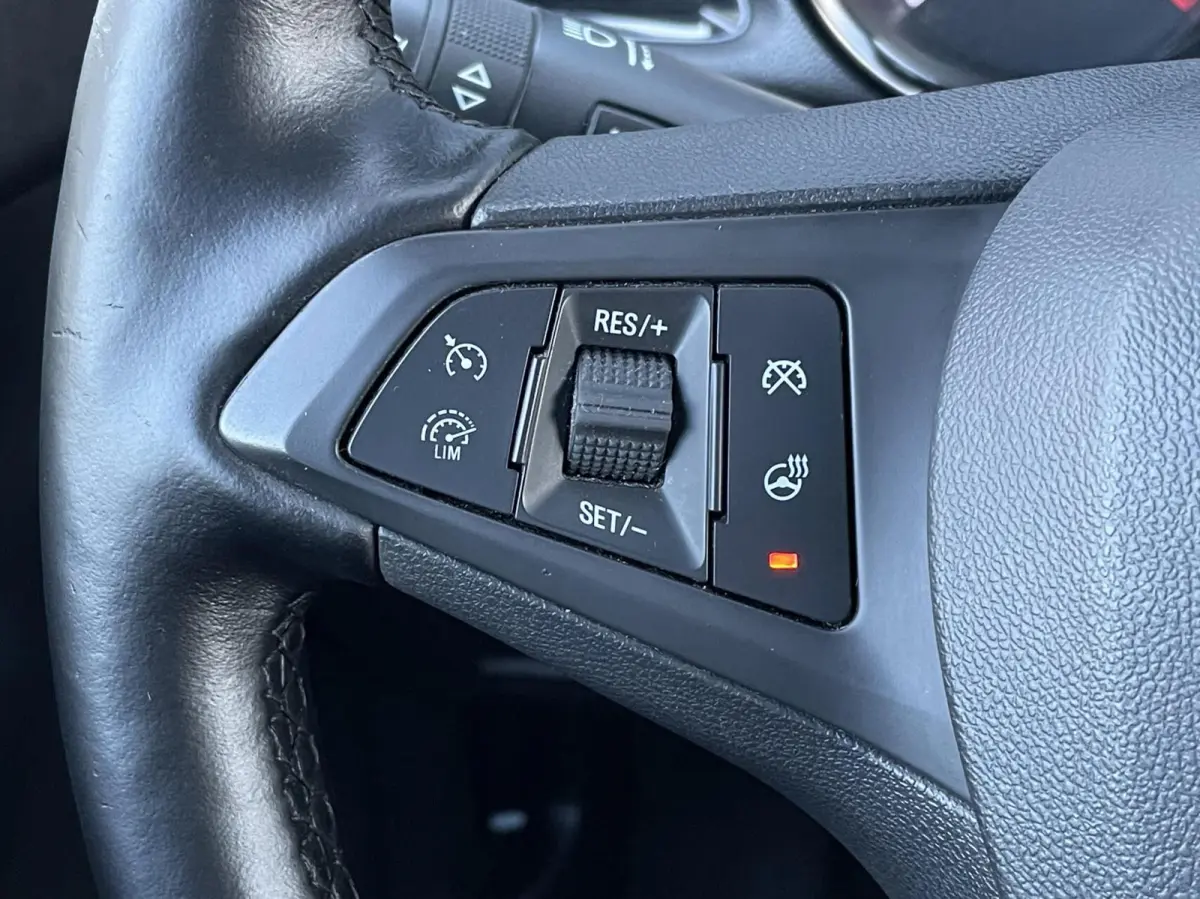 1.0 Online Edition Carplay Cruise PDC Stuur- en stoelverwarming
