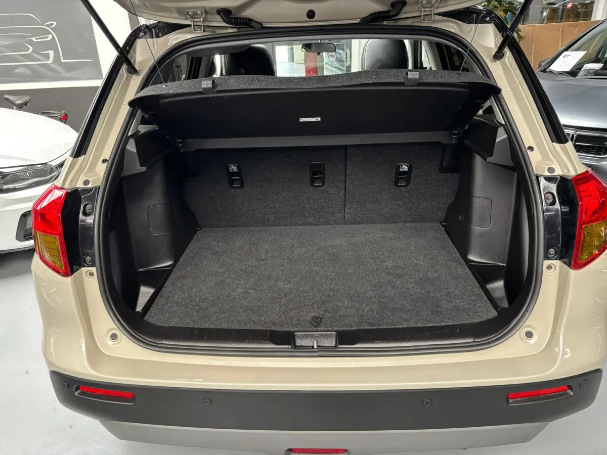 1.6 High Executive / Camera / Panorama Dak