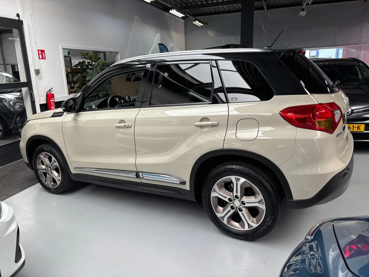 1.6 High Executive / Camera / Panorama Dak