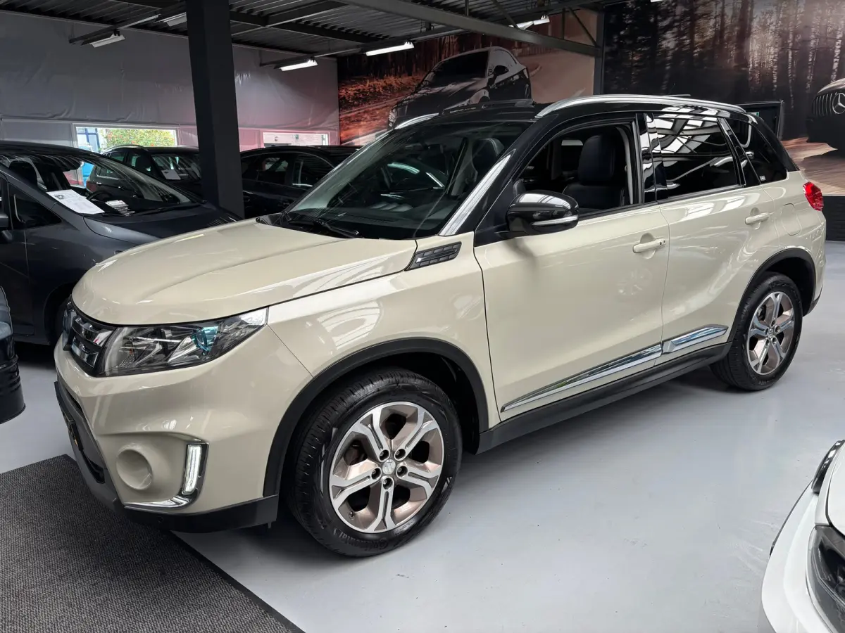 1.6 High Executive / Camera / Panorama Dak