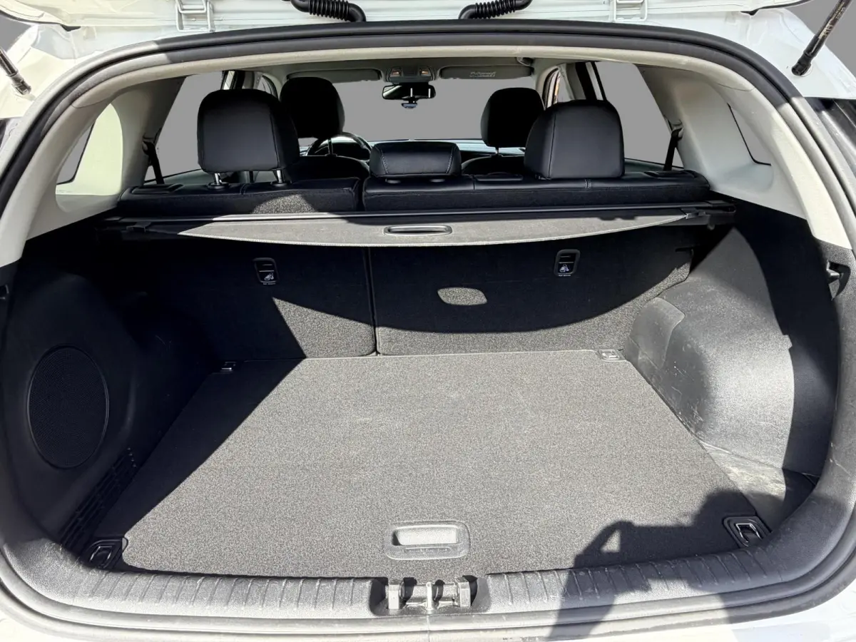 DynamicLine 64 kWh SOH 95,8%  | Warmtepomp | JBL | Adaptive Cruise | Stoel & stuurverwarming | Dashcam | Leder | Camera | Apple Carplay & Android |