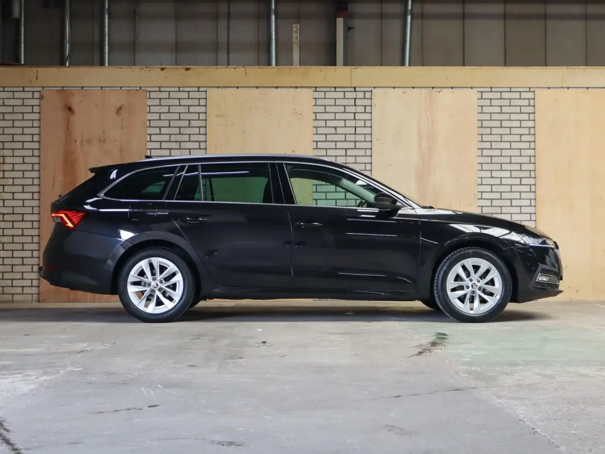 1.0 TSI 110pk Business Edition Plus | Allseasonbanden | Trekhaak
