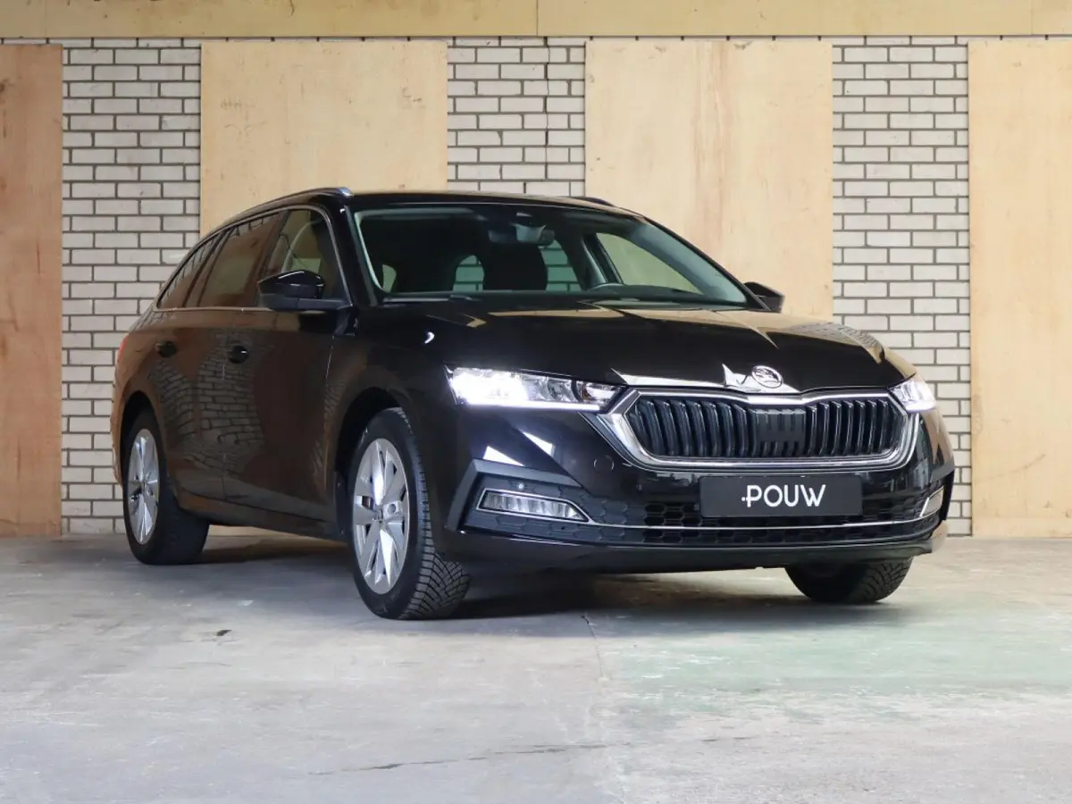 1.0 TSI 110pk Business Edition Plus | Allseasonbanden | Trekhaak
