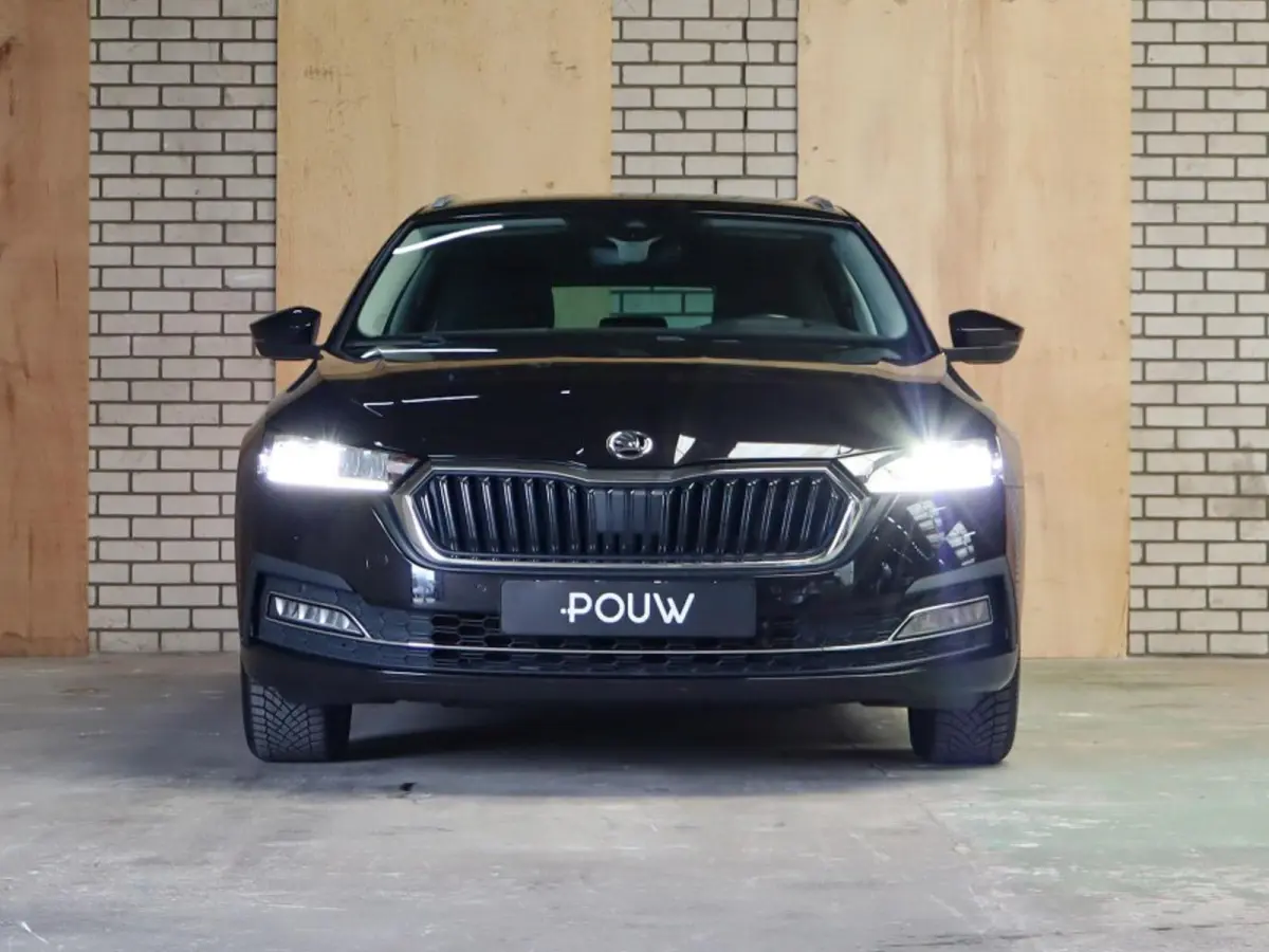 1.0 TSI 110pk Business Edition Plus | Allseasonbanden | Trekhaak