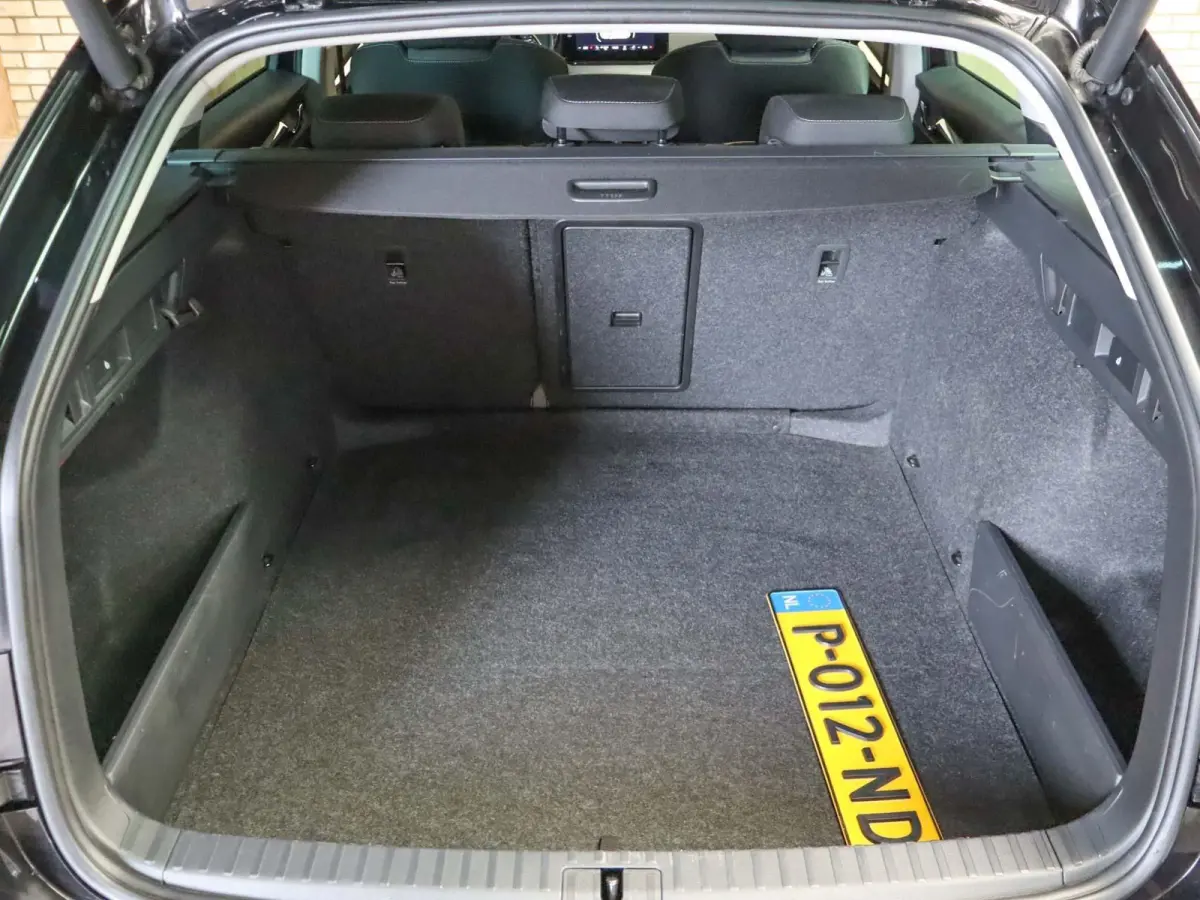 1.0 TSI 110pk Business Edition Plus | Allseasonbanden | Trekhaak