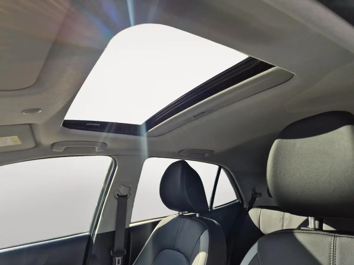 1.0 DPI GT-Line | Cruise Control | Climate Control | Navigatie | Camera | Stoelverwarming | Stuurverwarming | Open Dak | Lederen Bekleding |