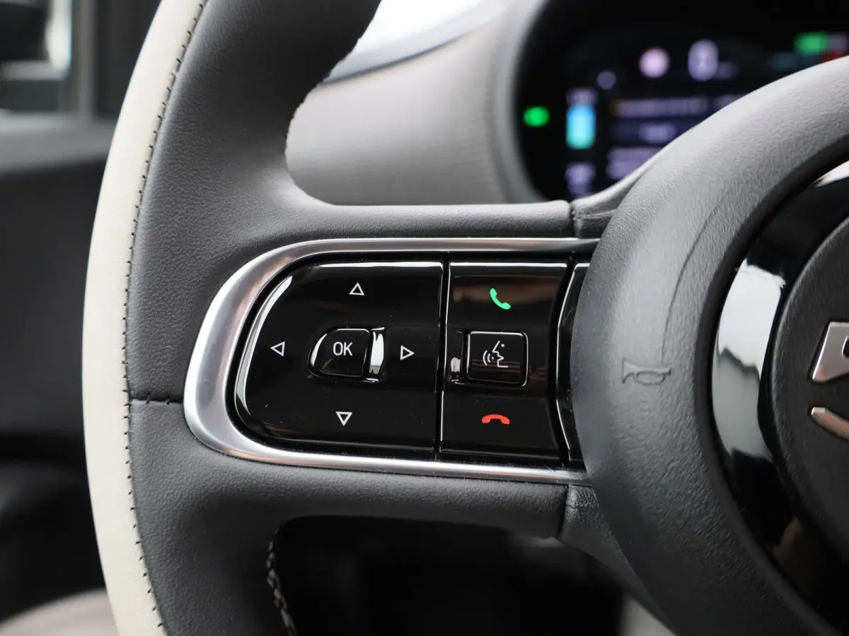 42 kWh La Prima by Bocelli | SOH 96,5% | ACHTERUITRIJCAMERA | STOELVERWARMING | APPLE CARPLAY - ANDROID AUTO | LEDEREN BEKLEDING |