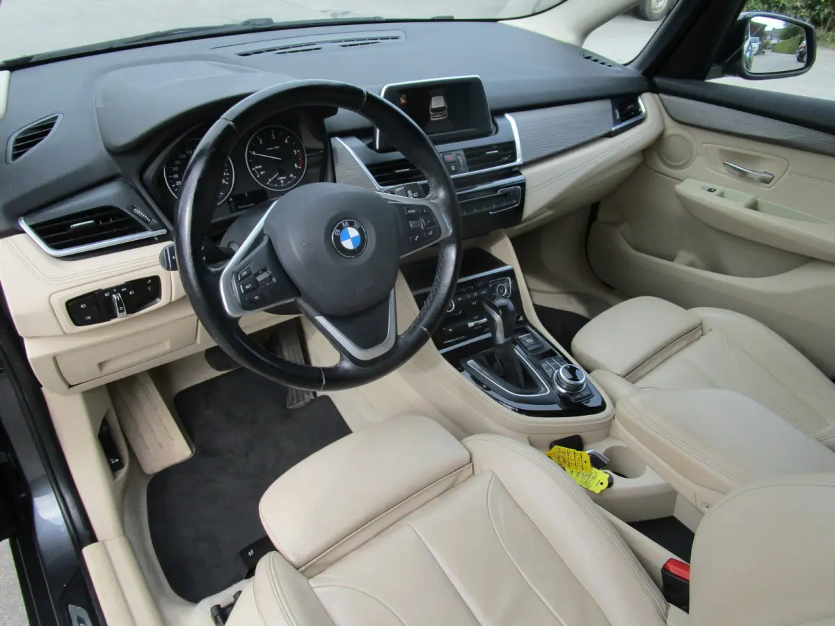 216d Executive leer navi orig holl