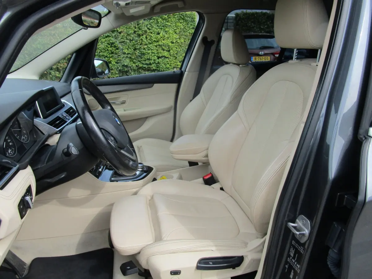 216d Executive leer navi orig holl