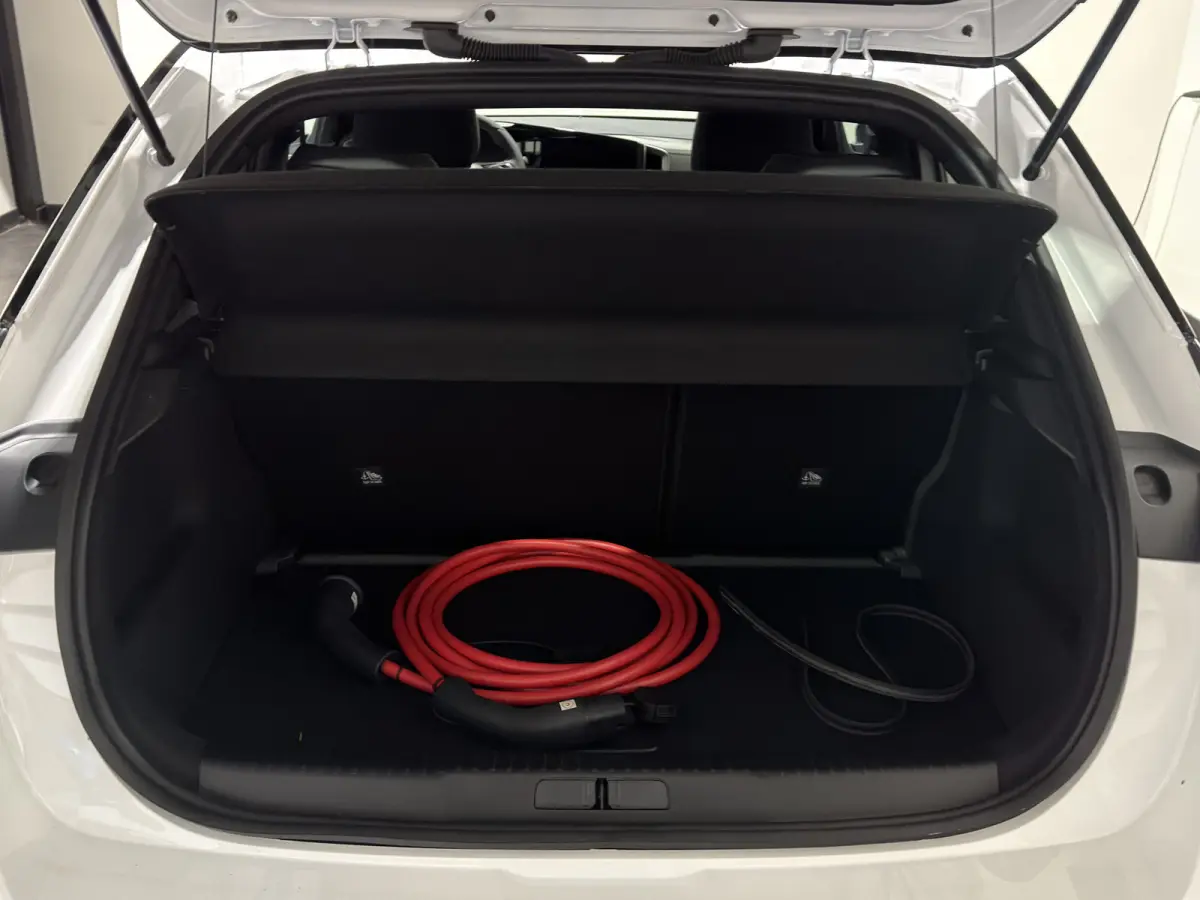 GS Line 50-kWh 11kw bl. | ACC | Keyless | Stoelen & stuur verwarmd