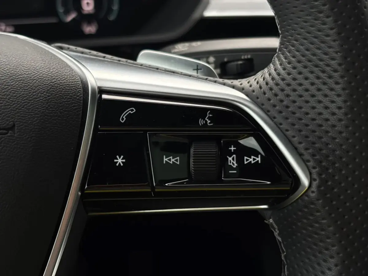 55 quattro S edition 95 kWh (NL-auto,Dealer OndH, Panorama, B&O, Camera, PDC, StoelV, Carplay, Etc)