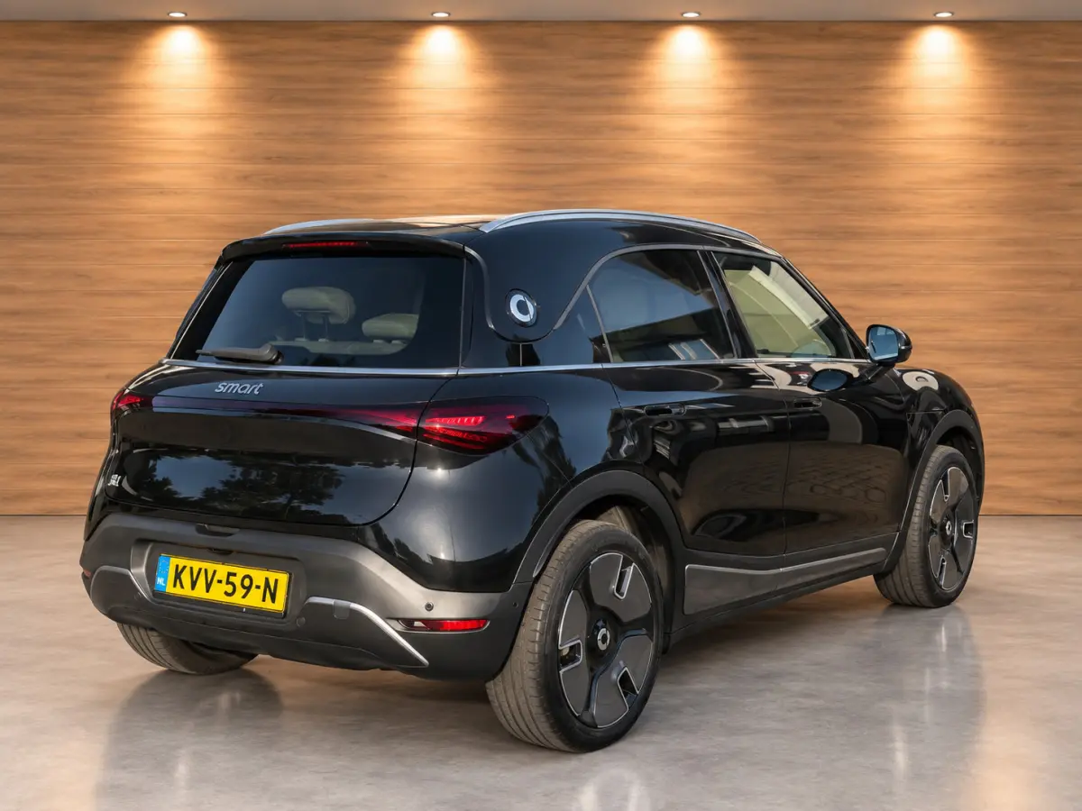 Premium 66 kWh PANORAMADAK LEER