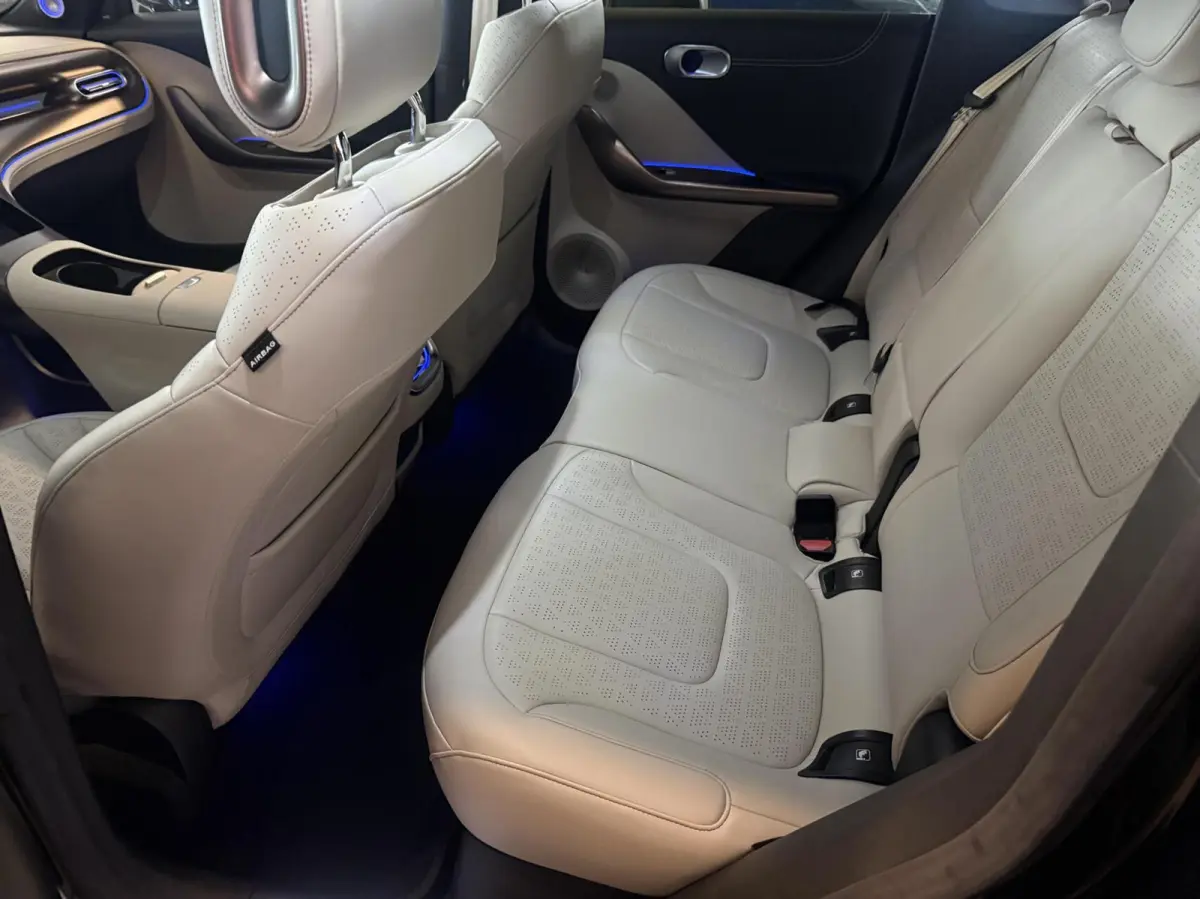 Premium 66 kWh PANORAMADAK LEER
