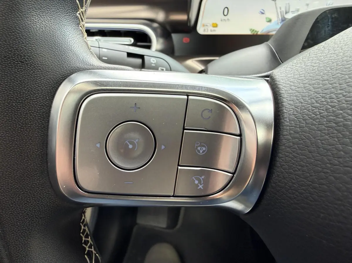 Premium 66 kWh PANORAMADAK LEER