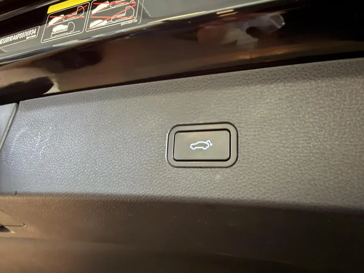 Premium 66 kWh PANORAMADAK LEER