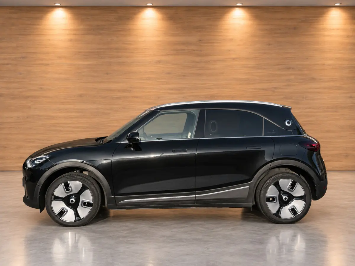 Premium 66 kWh PANORAMADAK LEER