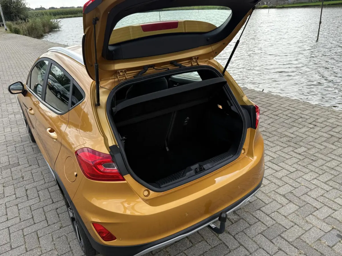 1.0 EcoBoost Active
