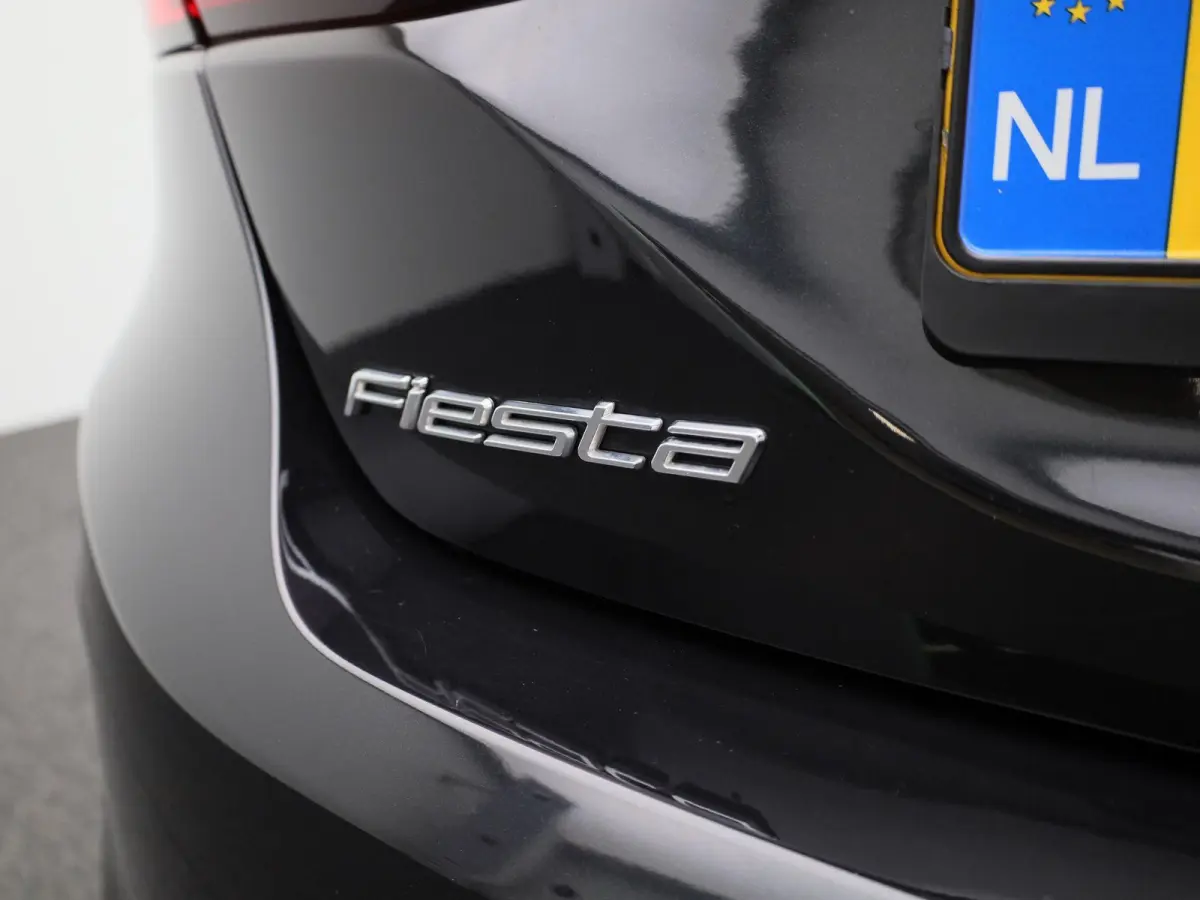 1.0 EcoBoost Hybrid Titanium X | Apple Carplay / Android Auto | Panoramadak | Achteruitrijcamera | Parkeersensoren |
