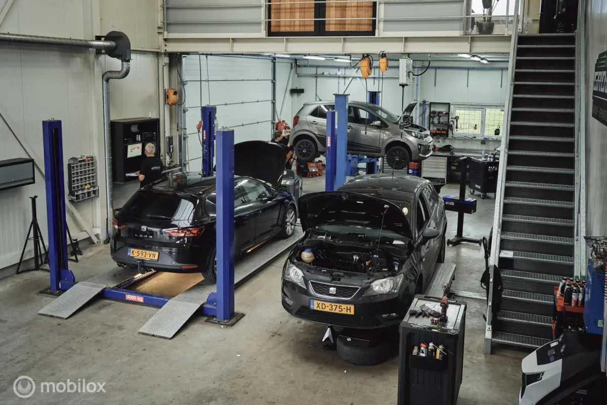 300 e Luxury PHEV 313PK