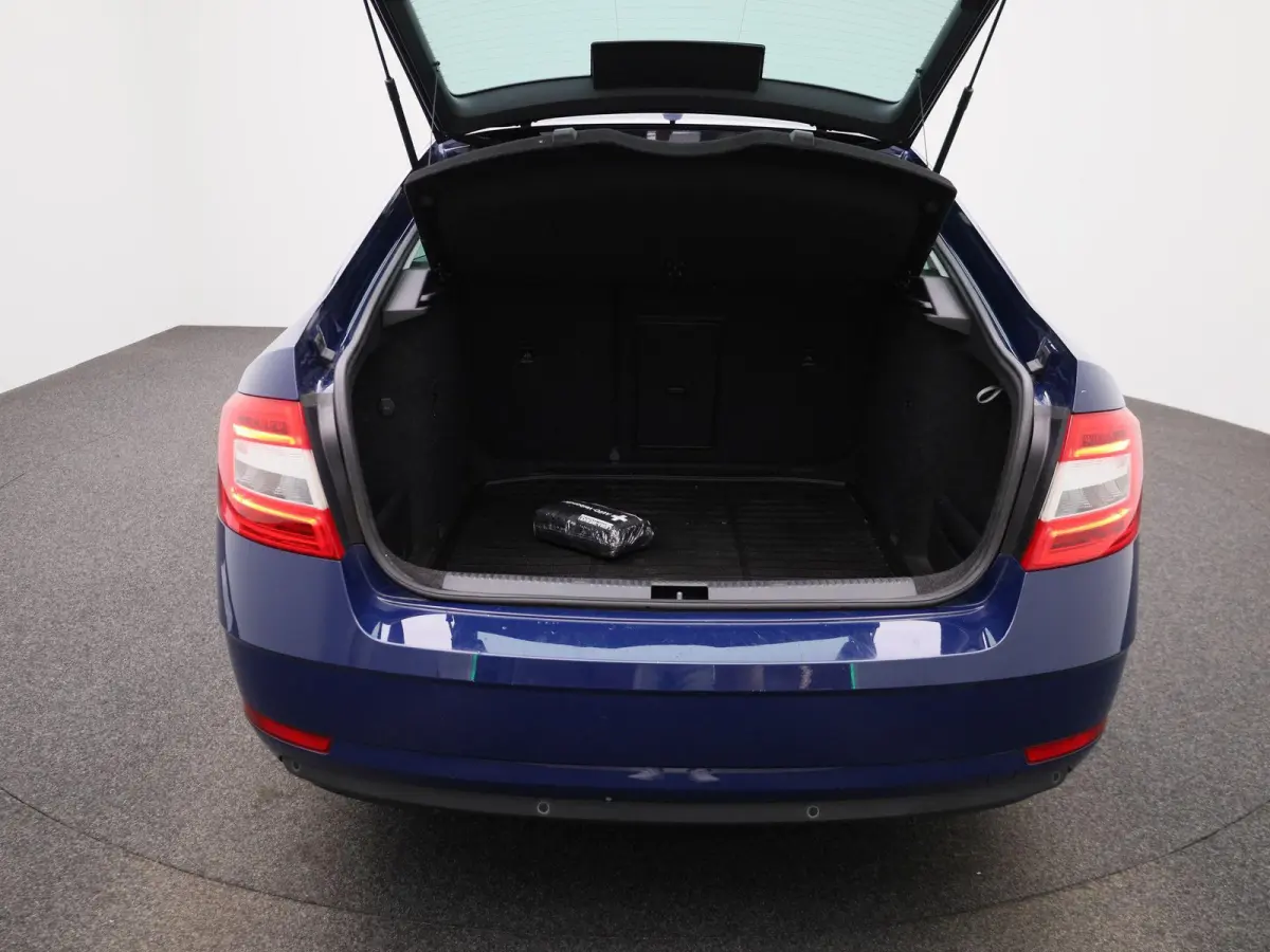 1.0 TSI Greentech Ambition Business | Apple Carplay / Android Auto | Panoramadak | Parkeersensoren |