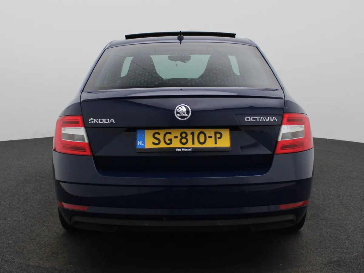 1.0 TSI Greentech Ambition Business | Apple Carplay / Android Auto | Panoramadak | Parkeersensoren |