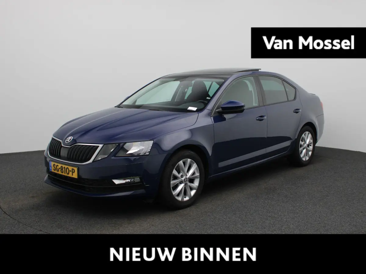 1.0 TSI Greentech Ambition Business | Apple Carplay / Android Auto | Panoramadak | Parkeersensoren |