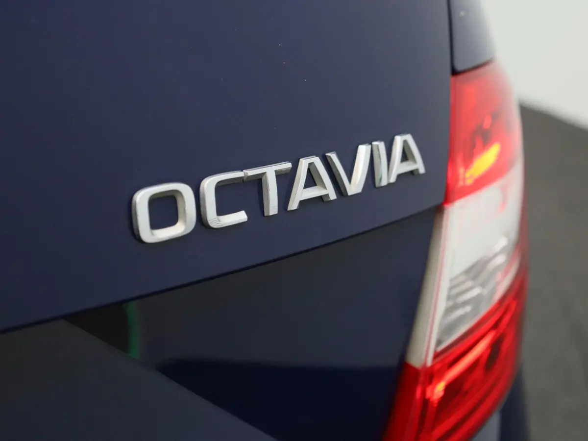 1.0 TSI Greentech Ambition Business | Apple Carplay / Android Auto | Panoramadak | Parkeersensoren |