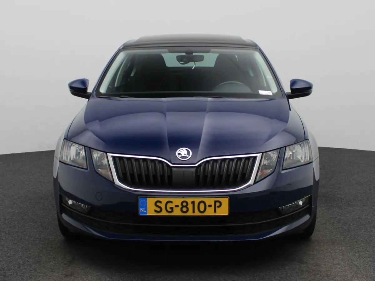 1.0 TSI Greentech Ambition Business | Apple Carplay / Android Auto | Panoramadak | Parkeersensoren |