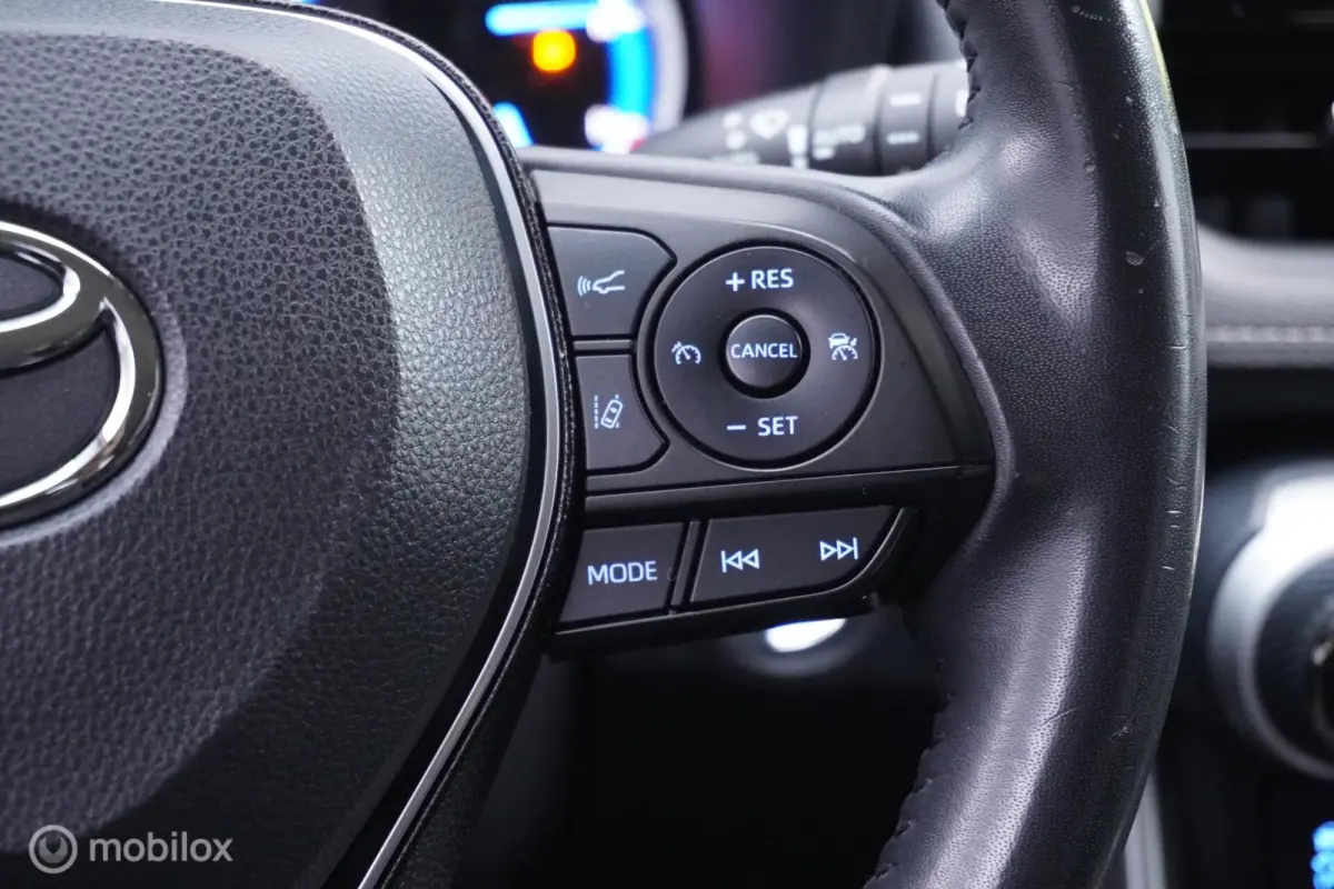 2.5 Hybrid AWD Dynamic