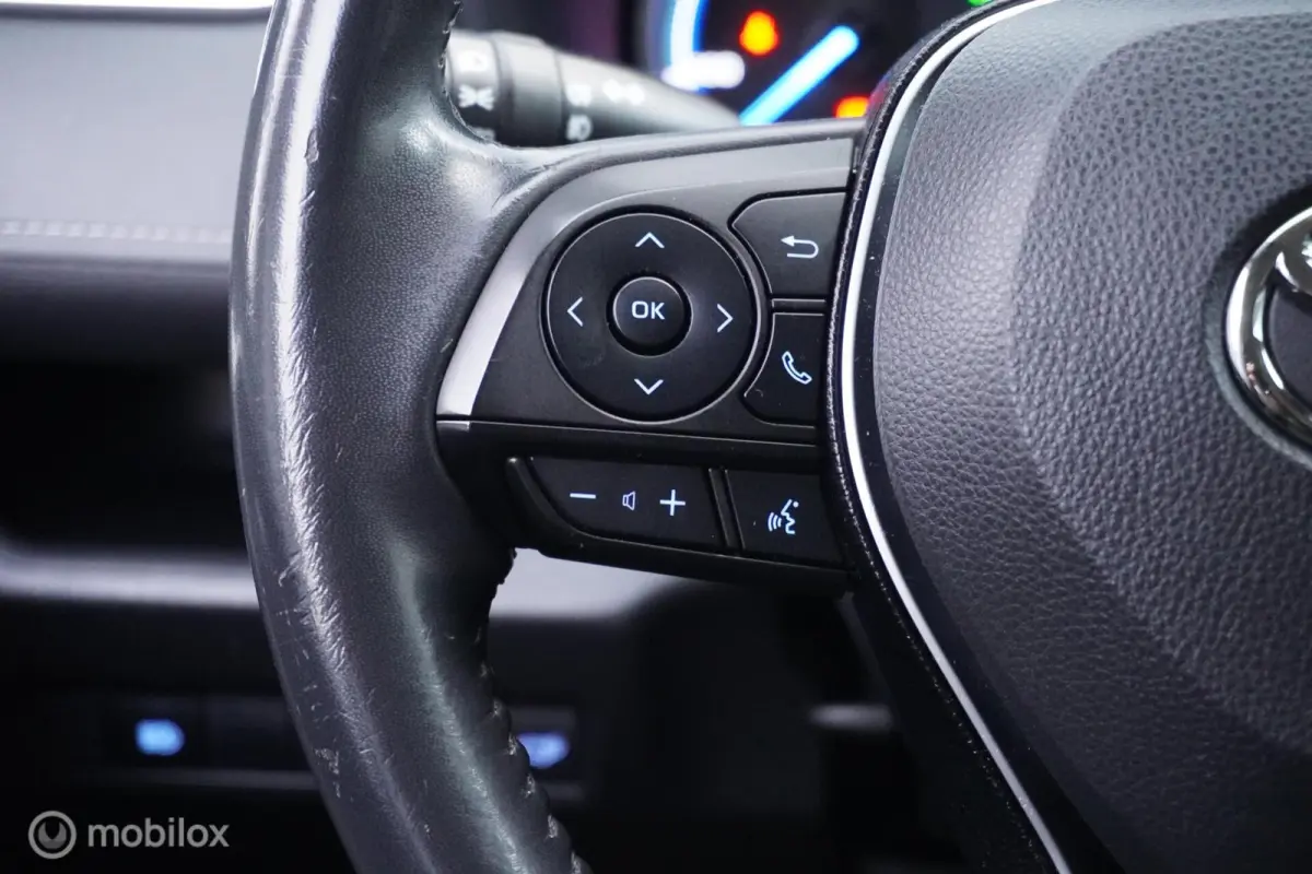 2.5 Hybrid AWD Dynamic