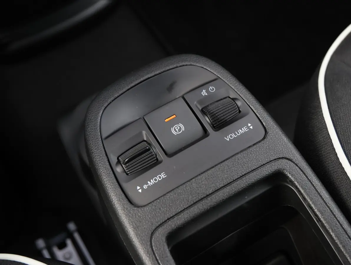 Icon 42 kWh 1e Eigenaar | Camera | Navigatie | Apple Carplay & Android Auto