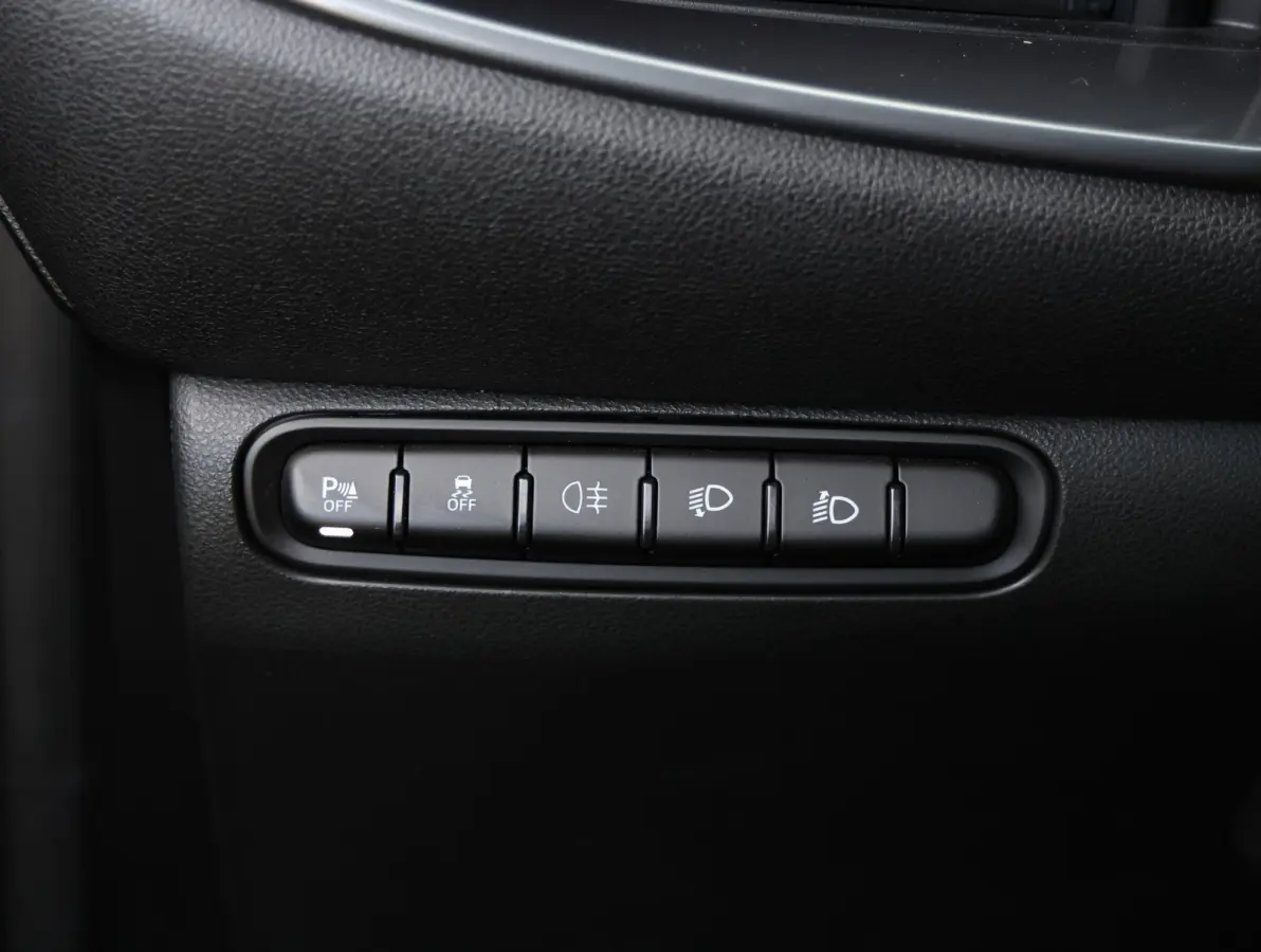 Icon 42 kWh 1e Eigenaar | Camera | Navigatie | Apple Carplay & Android Auto