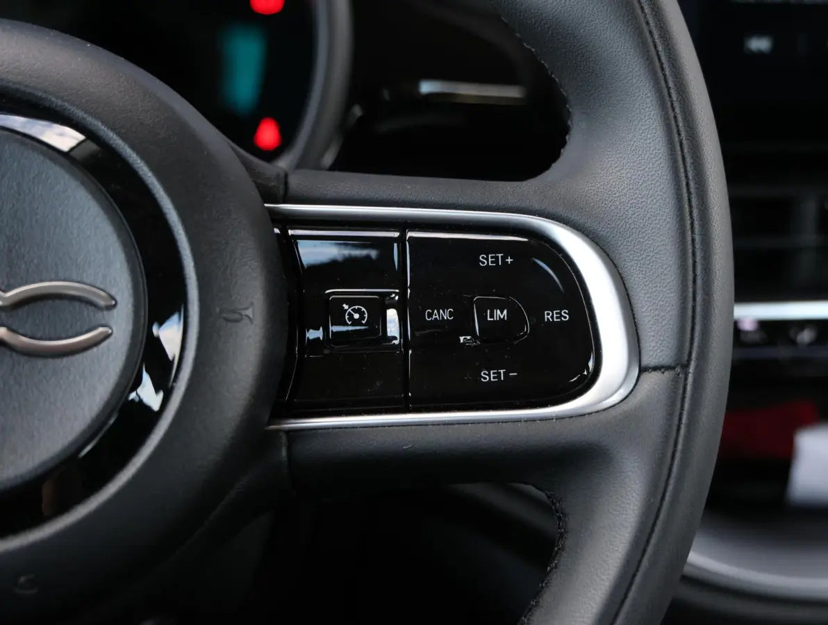 Icon 42 kWh 1e Eigenaar | Camera | Navigatie | Apple Carplay & Android Auto